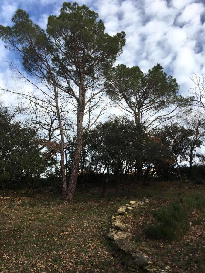 Bed and Breakfast Les Marguerites Vers Pont du Gard Exterior foto