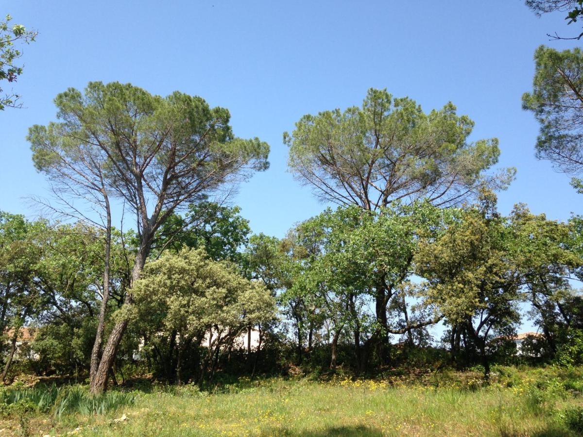Bed and Breakfast Les Marguerites Vers Pont du Gard Exterior foto