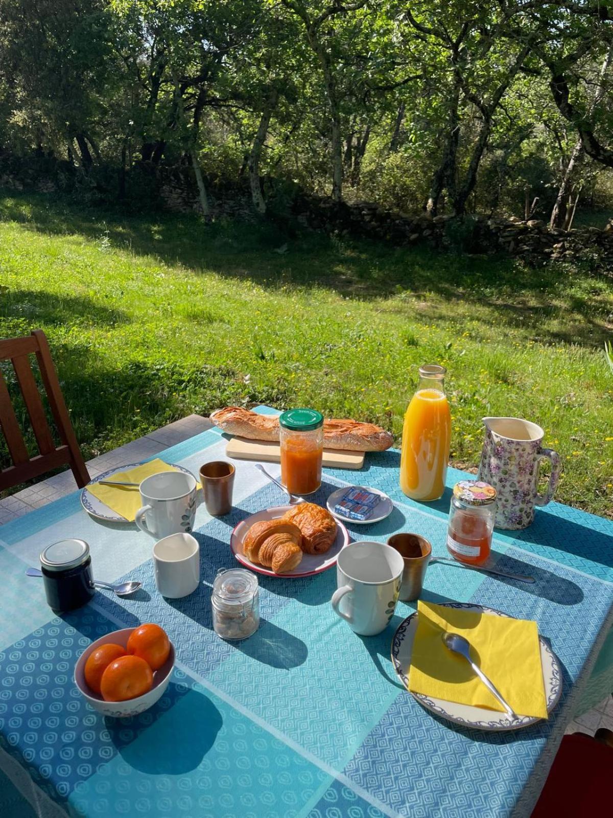 Bed and Breakfast Les Marguerites Vers Pont du Gard Exterior foto